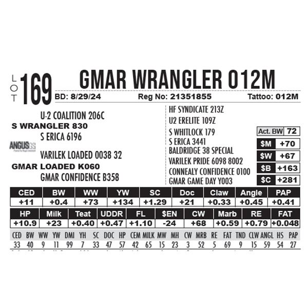 GMAR Wrangler 012M