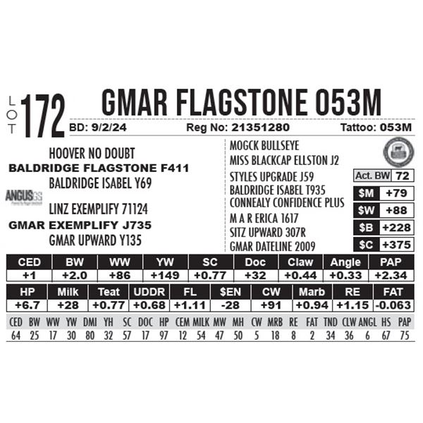 GMAR Flagstone 053M
