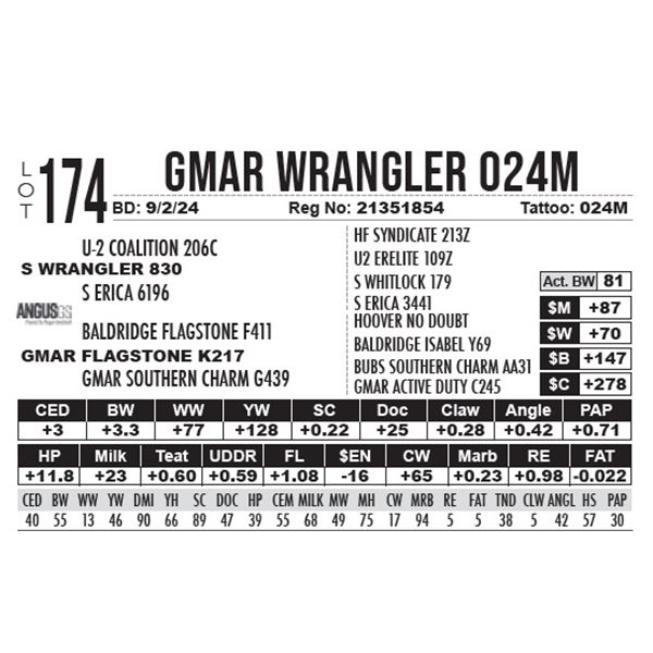 GMAR Wrangler 024M