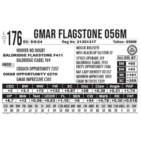 GMAR Flagstone 056M