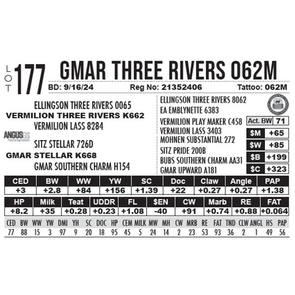 GMAR Three Rivers 062M