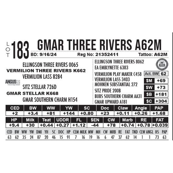 GMAR Three Rivers A62M