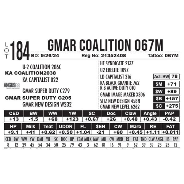 GMAR Coalition 067M