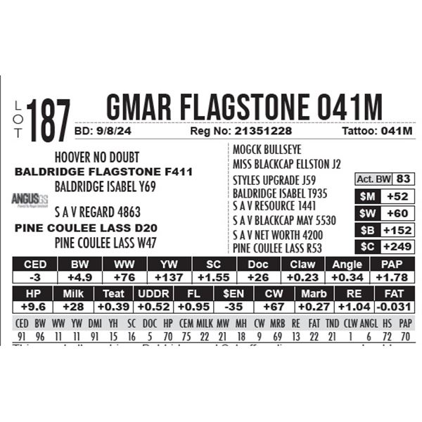 GMAR Flagstone 041M