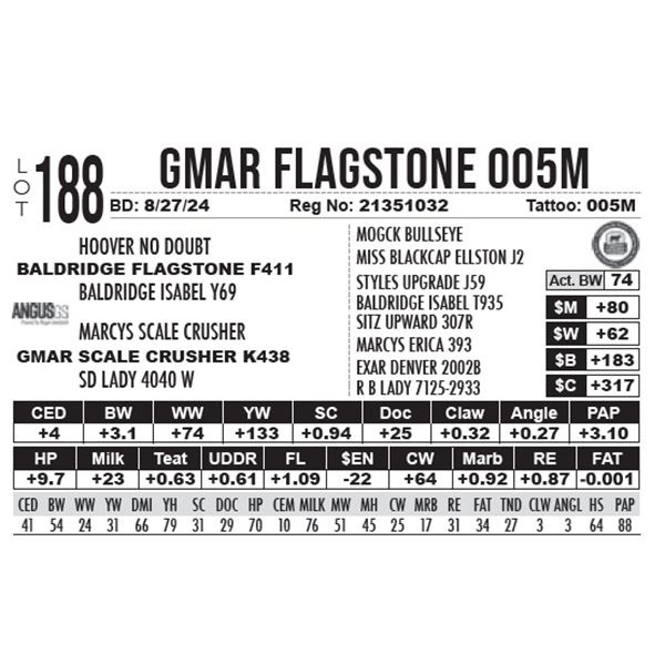 GMAR Flagstone 005M