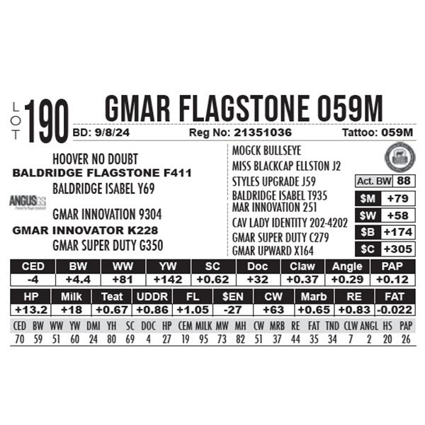 GMAR Flagstone 059M