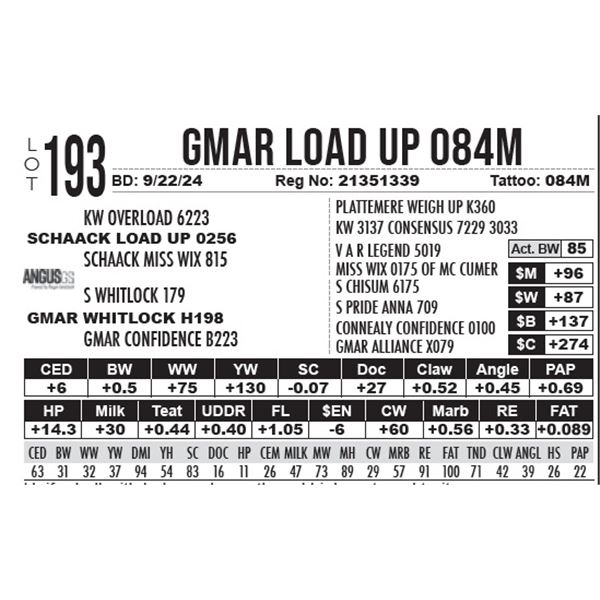 GMAR Load Up 084M