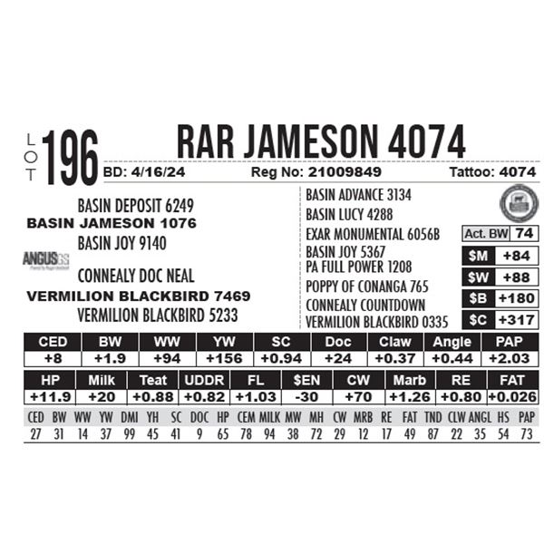 RAR Jameson 4074