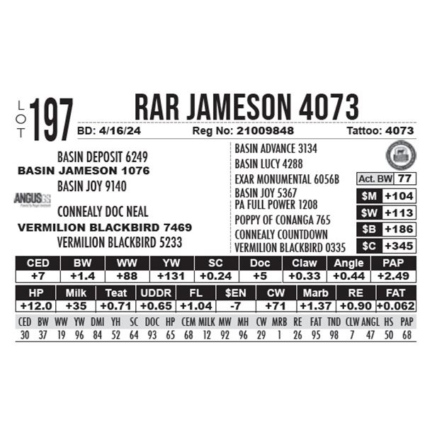 RAR Jameson 4073