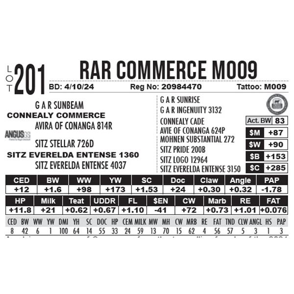 RAR Commerce M009