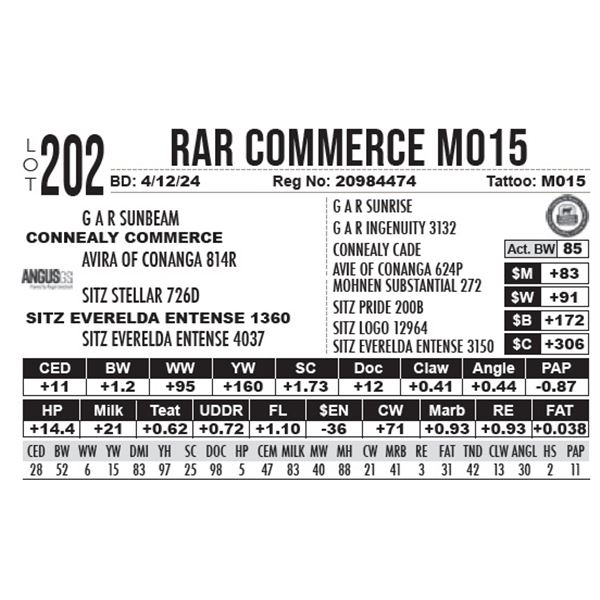 RAR Commerce M015