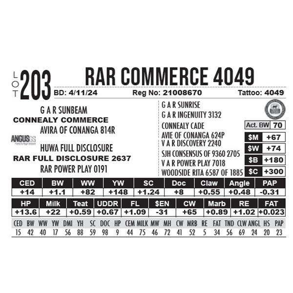RAR Commerce 4049