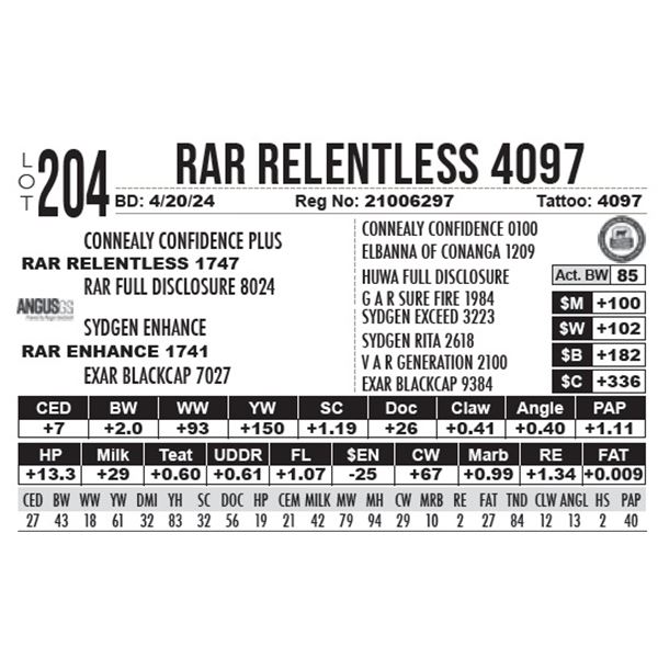 RAR Relentless 4097