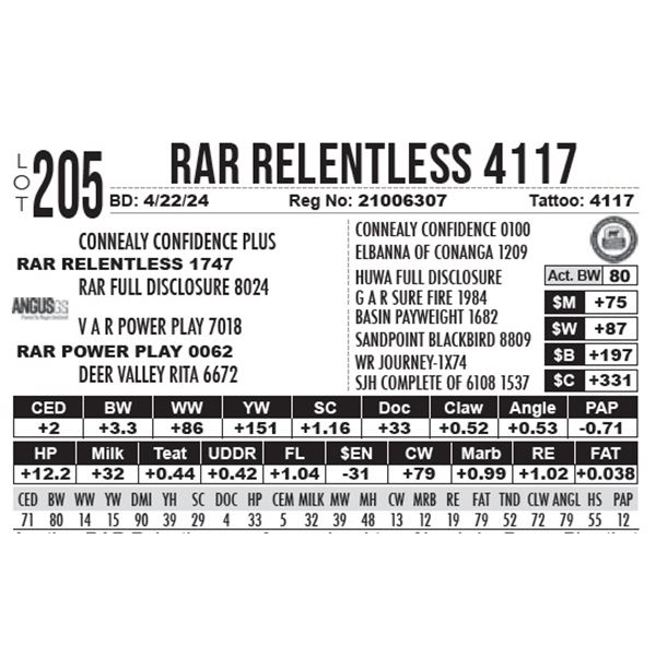 RAR Relentless 4117