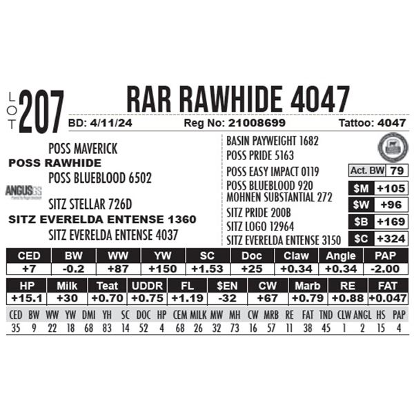 RAR Rawhide 4047
