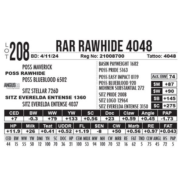 RAR Rawhide 4048