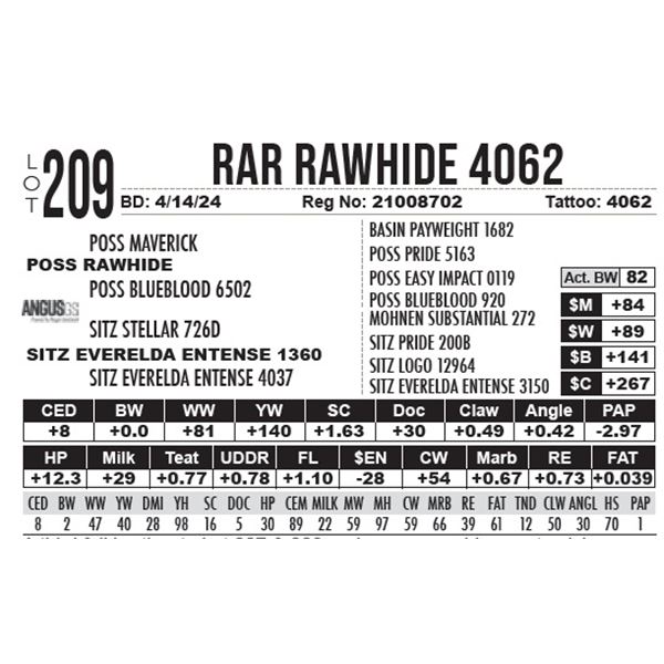 RAR Rawhide 4062