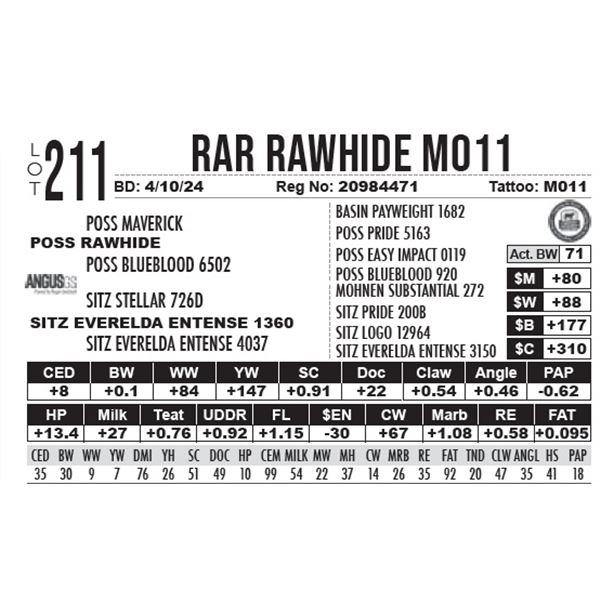 RAR Rawhide M011