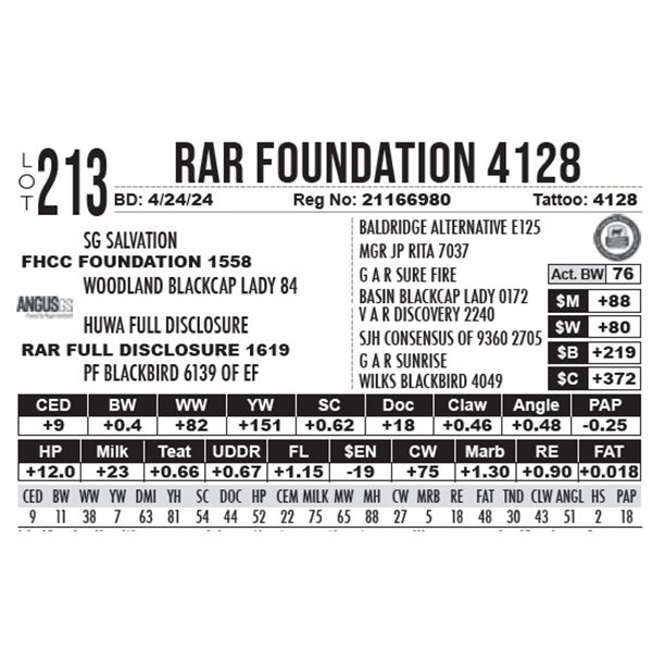 RAR Foundation 4128