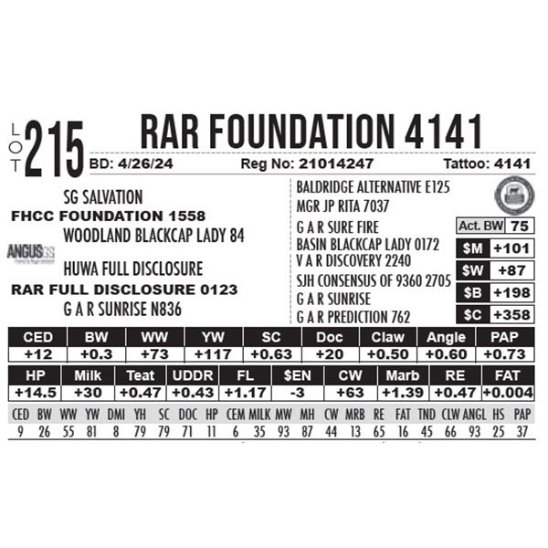 RAR Foundation 4141