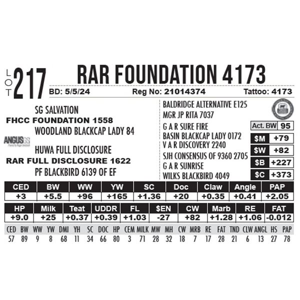 RAR Foundation 4173