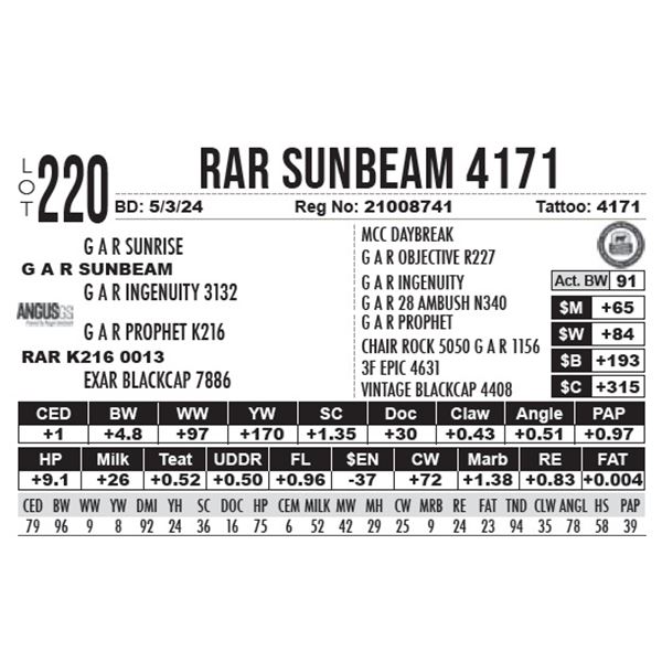 RAR Sunbeam 4171