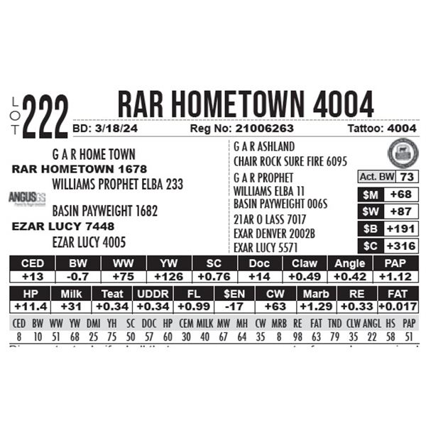 RAR Hometown 4004