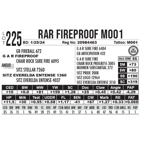 RAR Fireproof M001