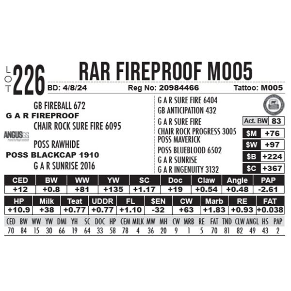 RAR Fireproof M005