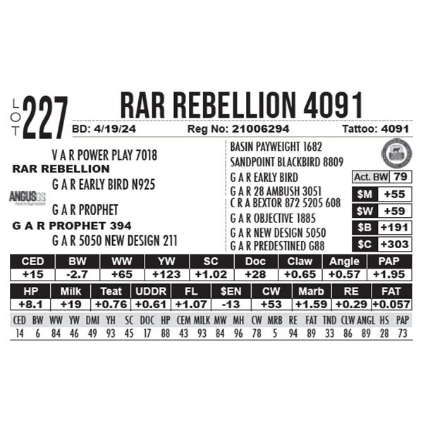 RAR Rebellion 4091