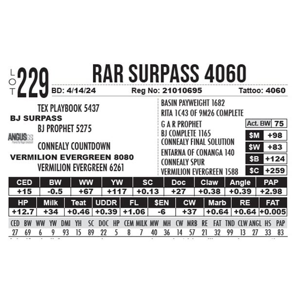 RAR Surpass 4060