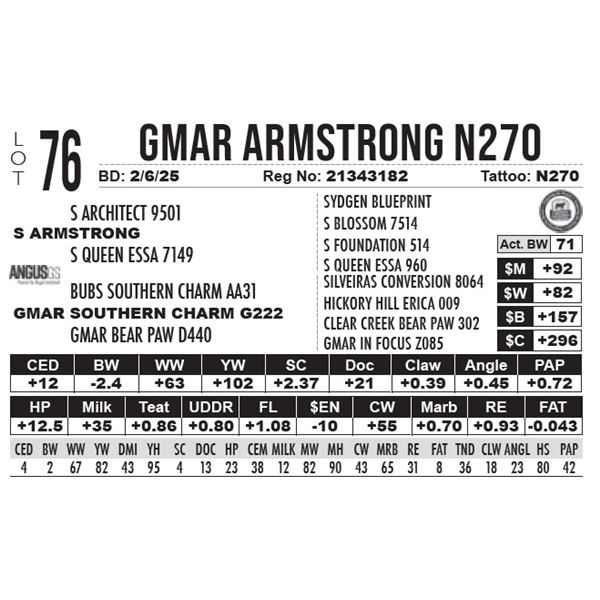 GMAR Armstrong N270