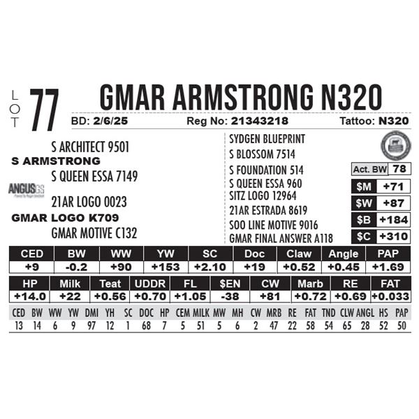 GMAR Armstrong N320