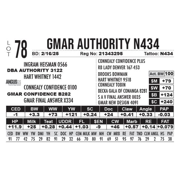 GMAR Authority N434