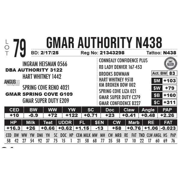 GMAR Authority N438