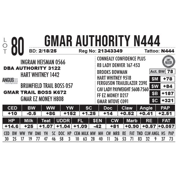GMAR Authority N444
