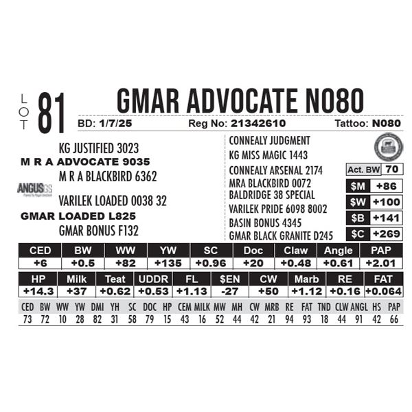 GMAR Advocate N080
