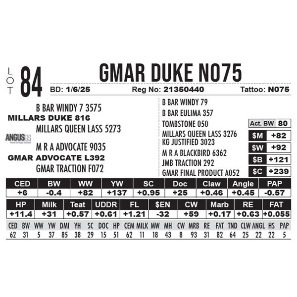 GMAR Duke N075