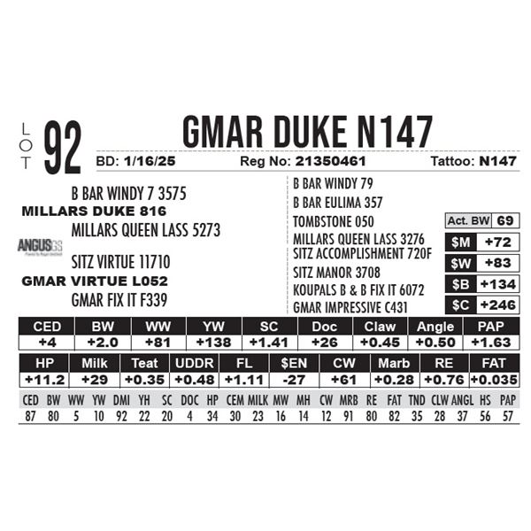 GMAR Duke N147