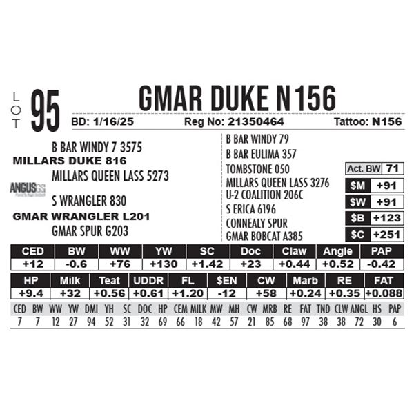 GMAR Duke N156
