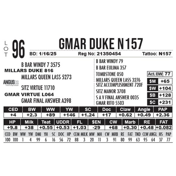 GMAR Duke N157