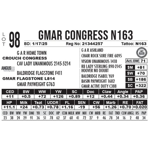 GMAR Congress N163
