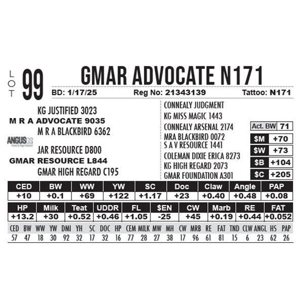 GMAR Advocate N171