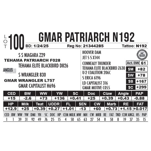 GMAR Patriarch N192