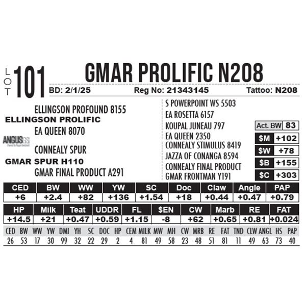 GMAR Prolific N208