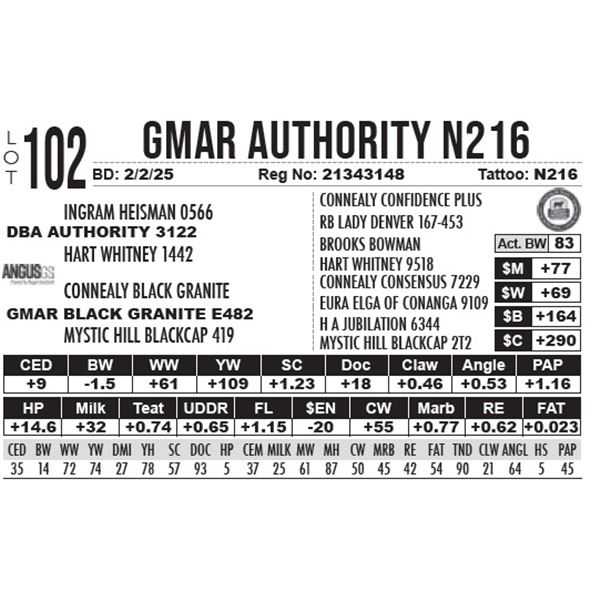 GMAR Authority N216