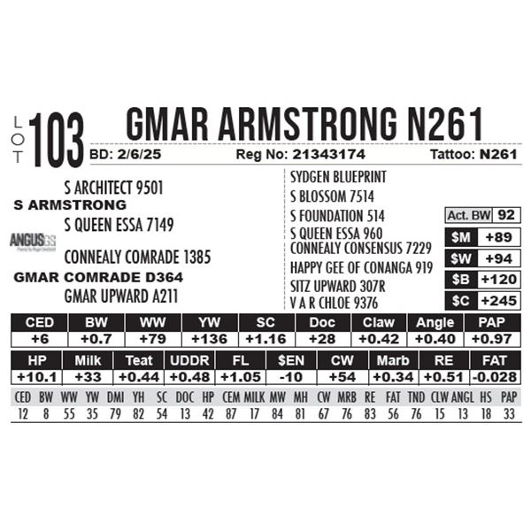 GMAR Armstrong N261
