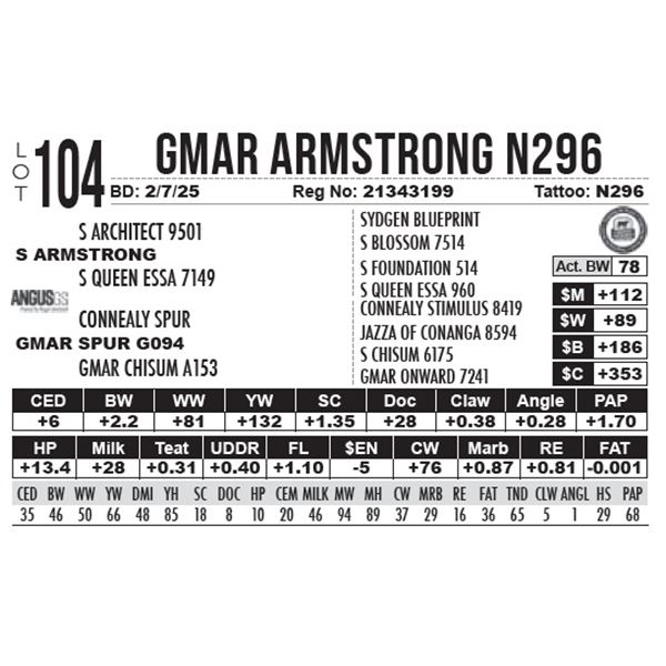 GMAR Armstrong N296
