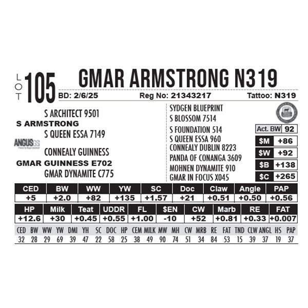 GMAR Armstrong N319