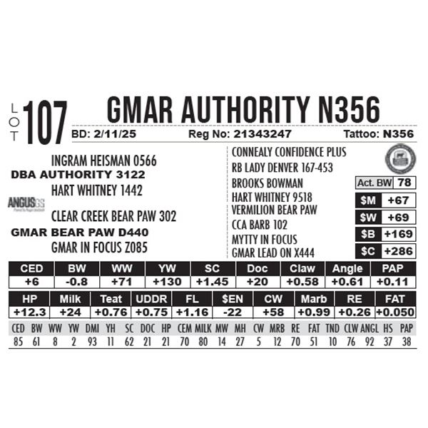 GMAR Authority N356